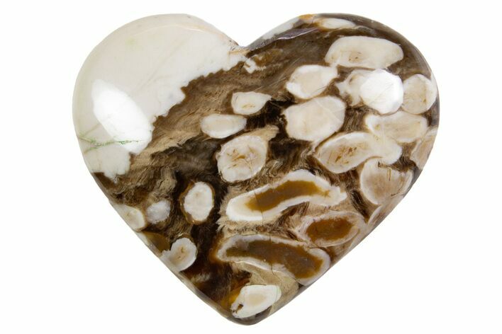 Polished Petrified Peanut Wood Heart - Australia #341915
